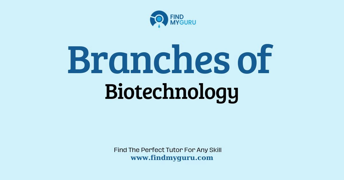 Overview of Major Biotechnology Branches & Career Scope
