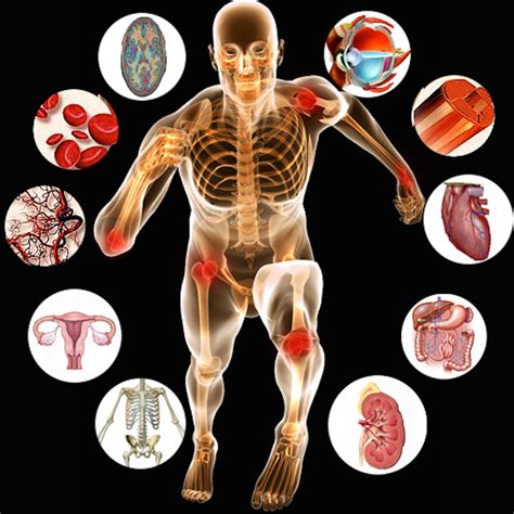 Anatomy and Physiology Course by Ananthi D