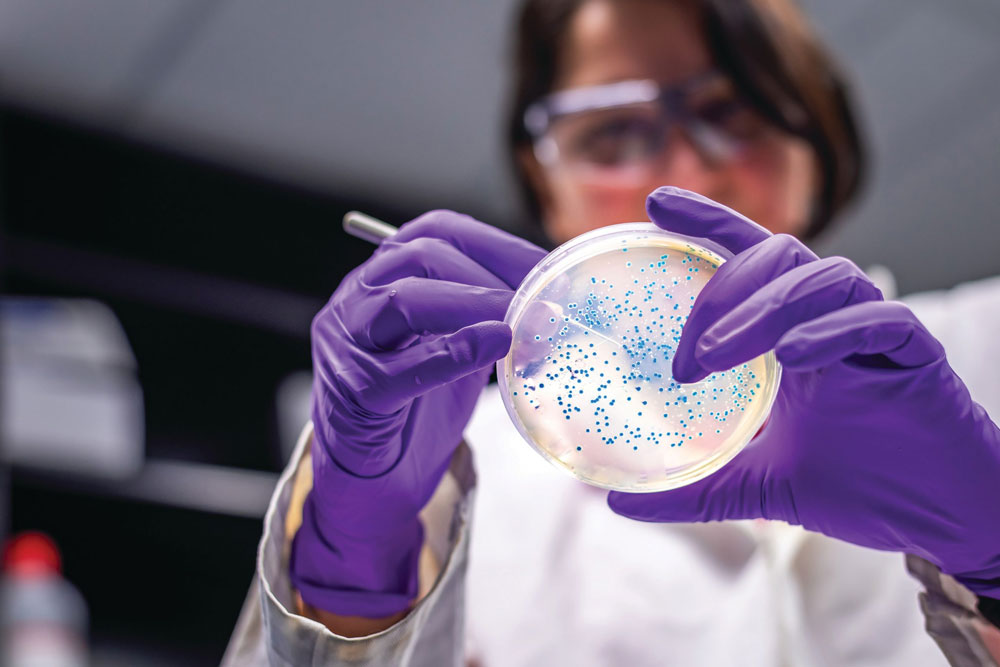 Microbiology Course by Swetha