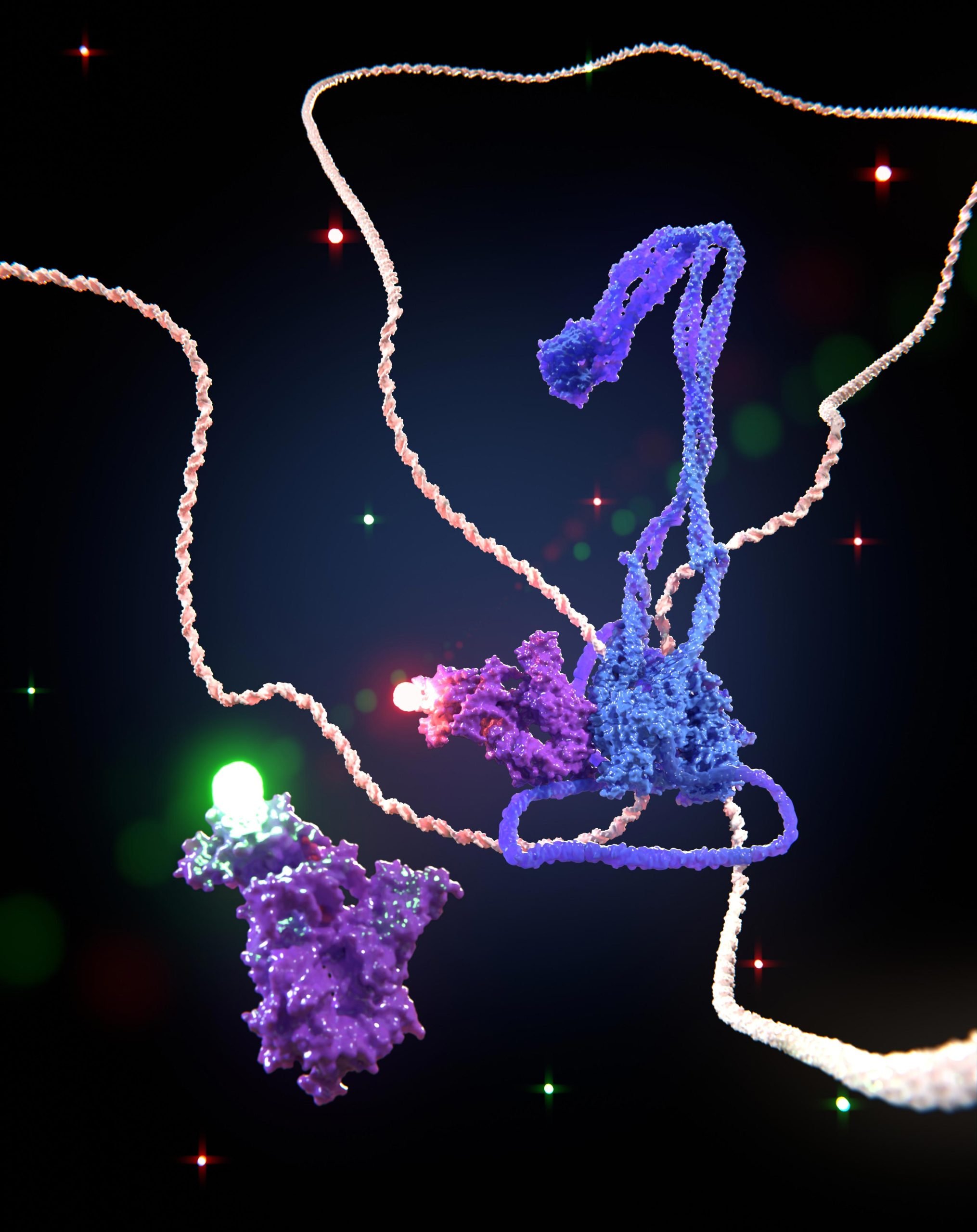 Biology Course by Anadika agnihotri