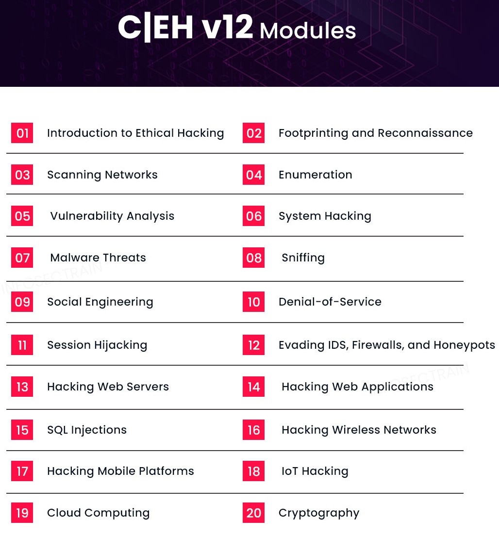 Certified Ethical Hacking and Cyber Security Course by Afroz Cyber Security Faculty