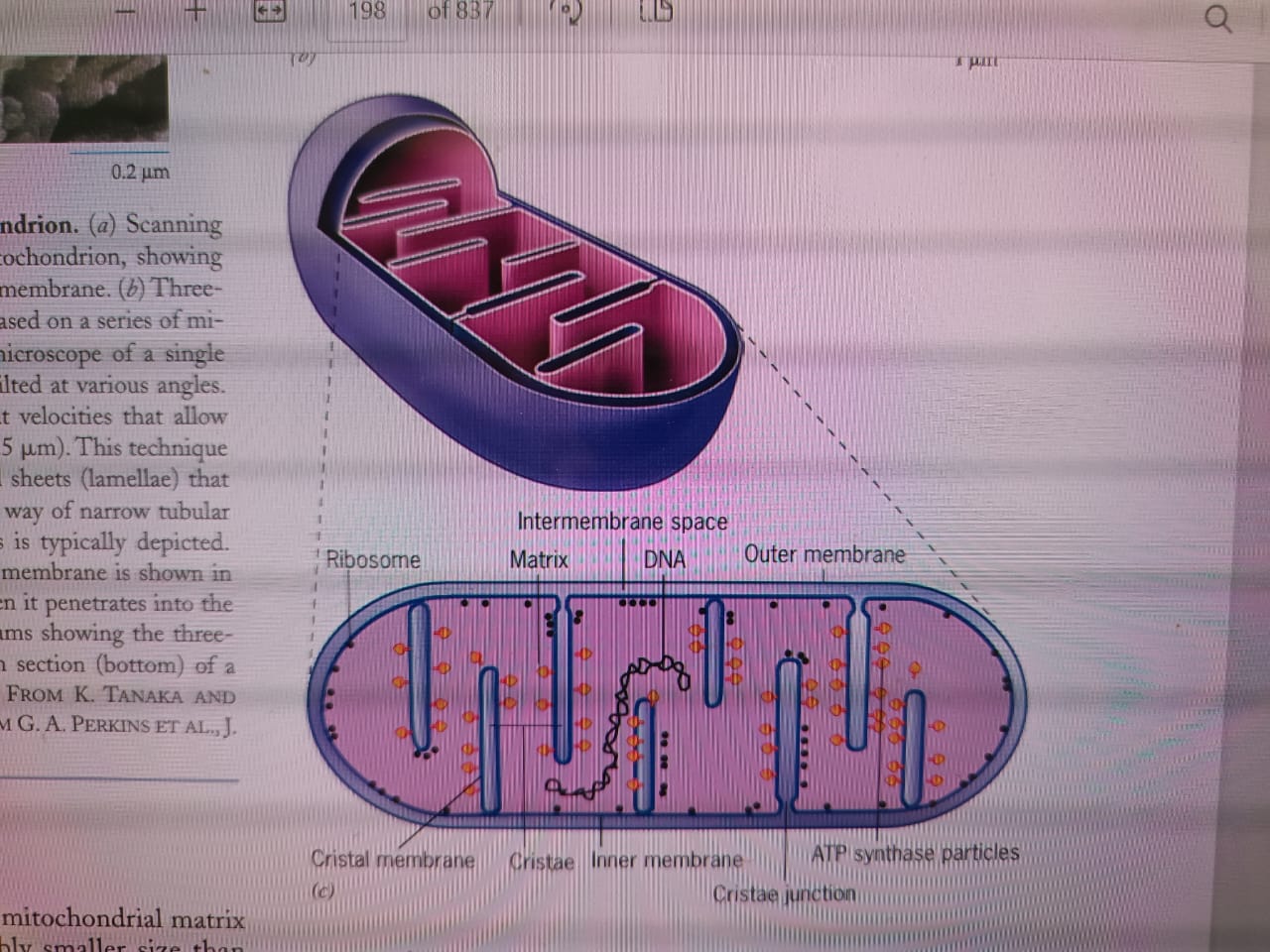Biology zoology