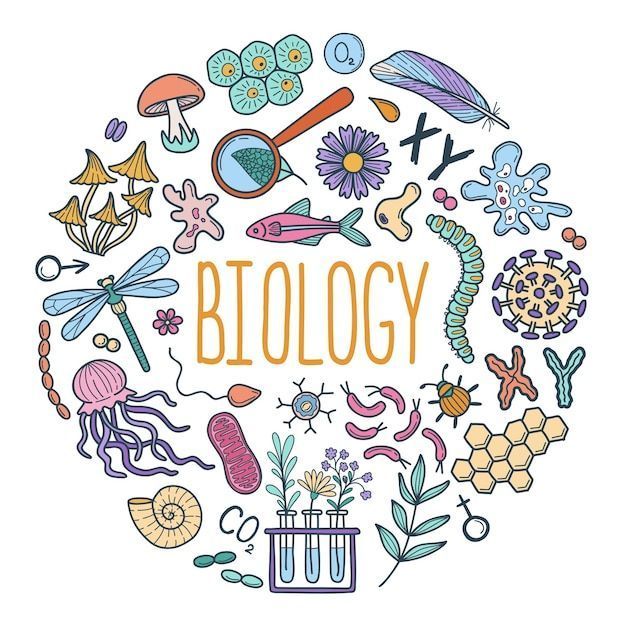 STATE Board exam and NEET Biology