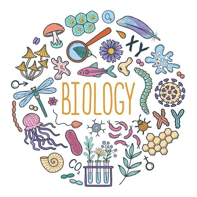STATE Board exam and NEET Biology