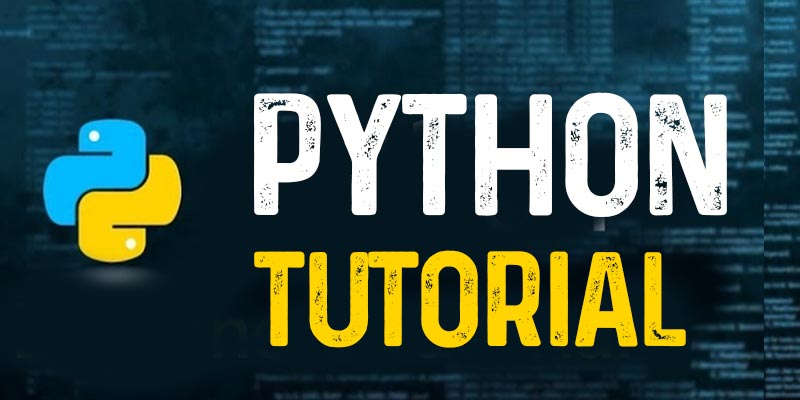 Python Programming for Beginners