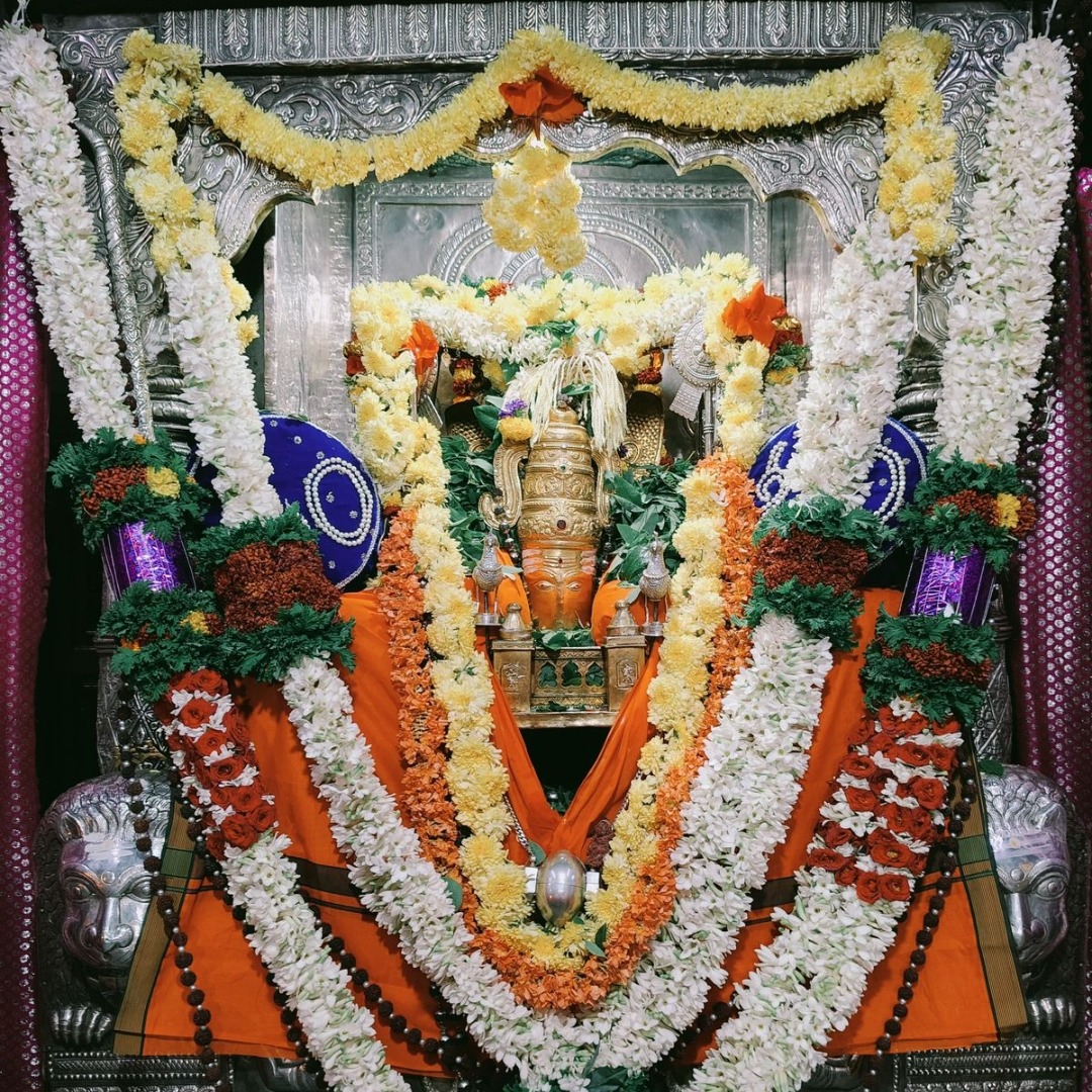 Rashmi G S Profile Pic