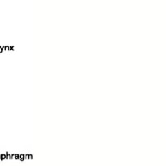 Surekha Prabhu Profile Pic